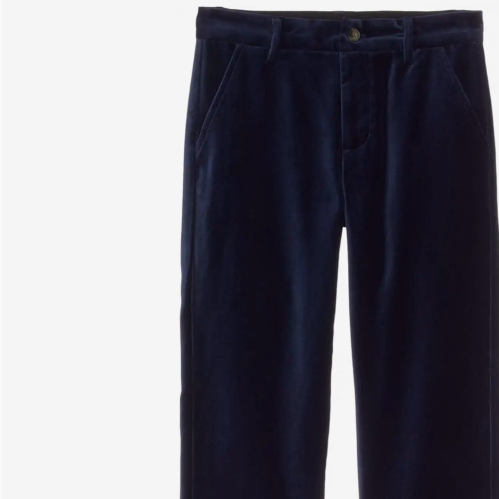 Janie and Jake Velvet Dress Pant Size 4T